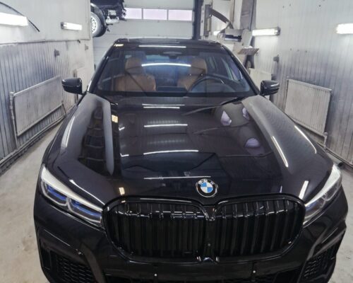 bmw seria 7 lovit fata